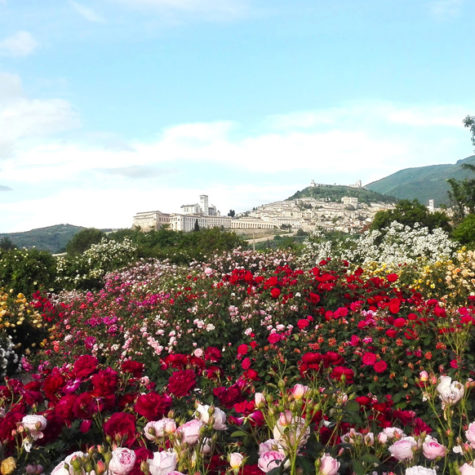 CASALE MARIA Agriturismo